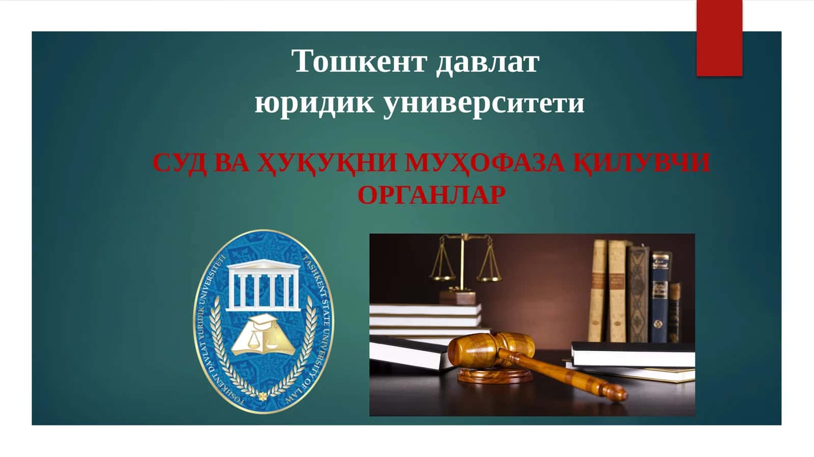 Божхона ва солиқ органлари