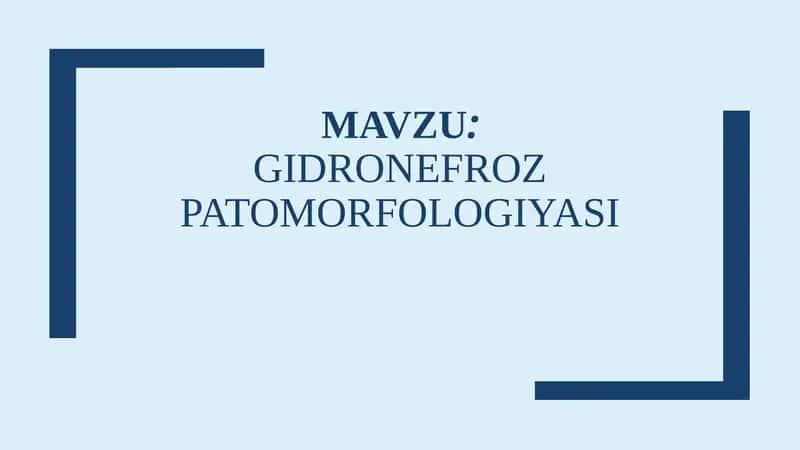 Gidronefroz Patomorfologiyasi