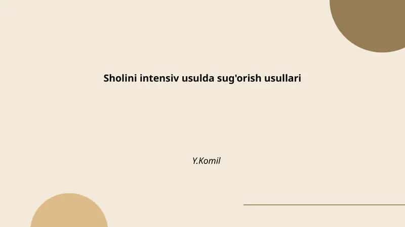 Sholini intensiv usulda sug'orish tarixi