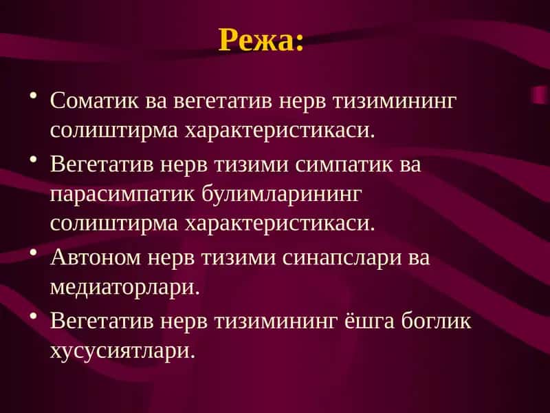 Соматик ва вегетатив нерв тизимининг солиштирма характеристикаси