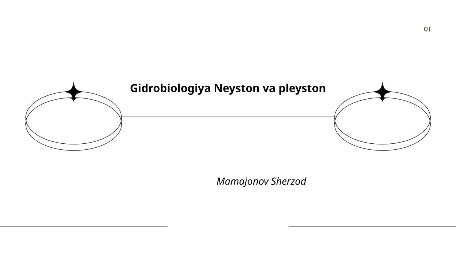Gidrobiologiya Neyston va pleyston