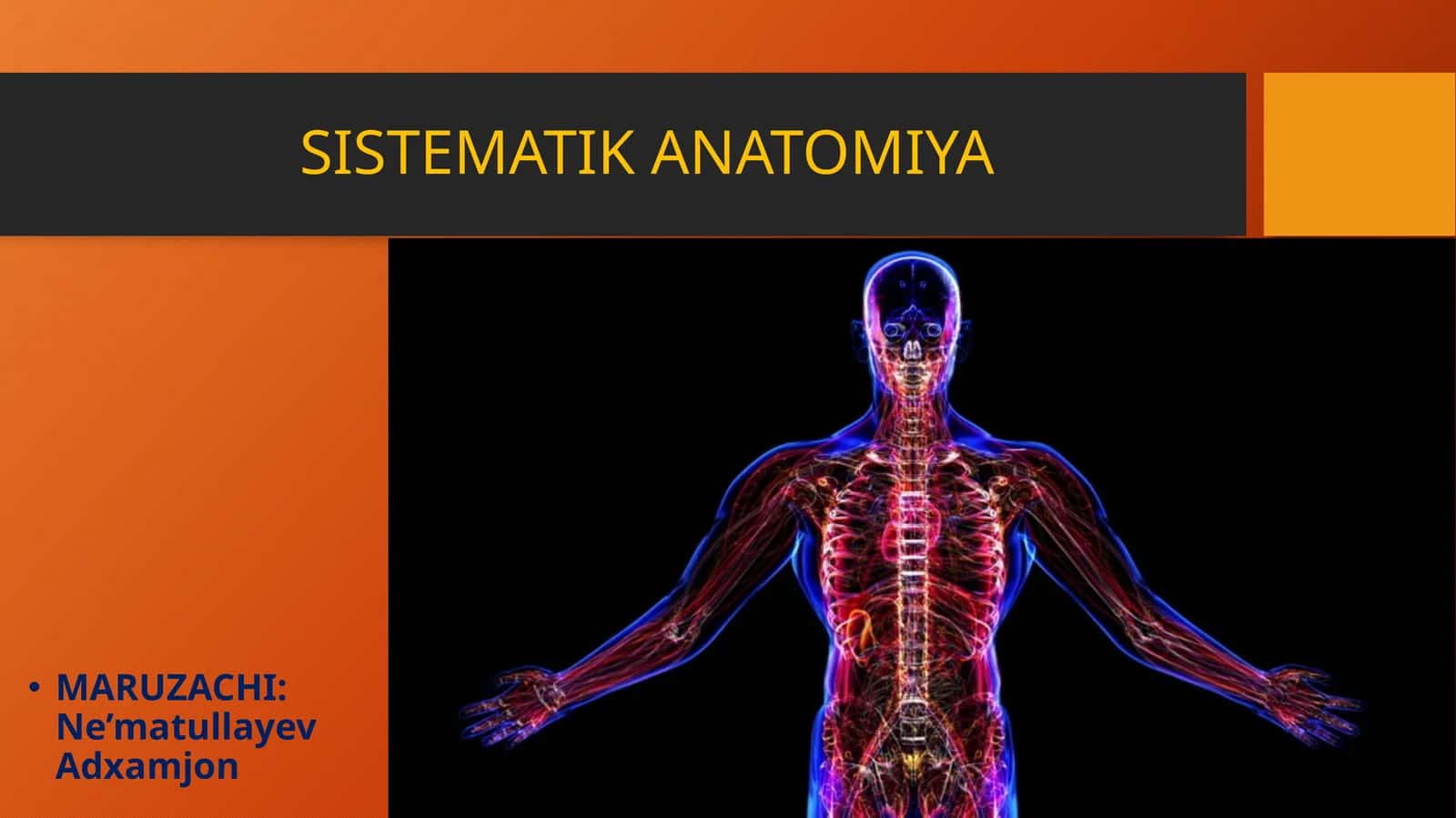 SISTEMATIK ANATOMIYA