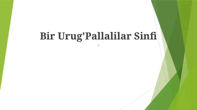 Bir Urug'Pallalilar Sinfi