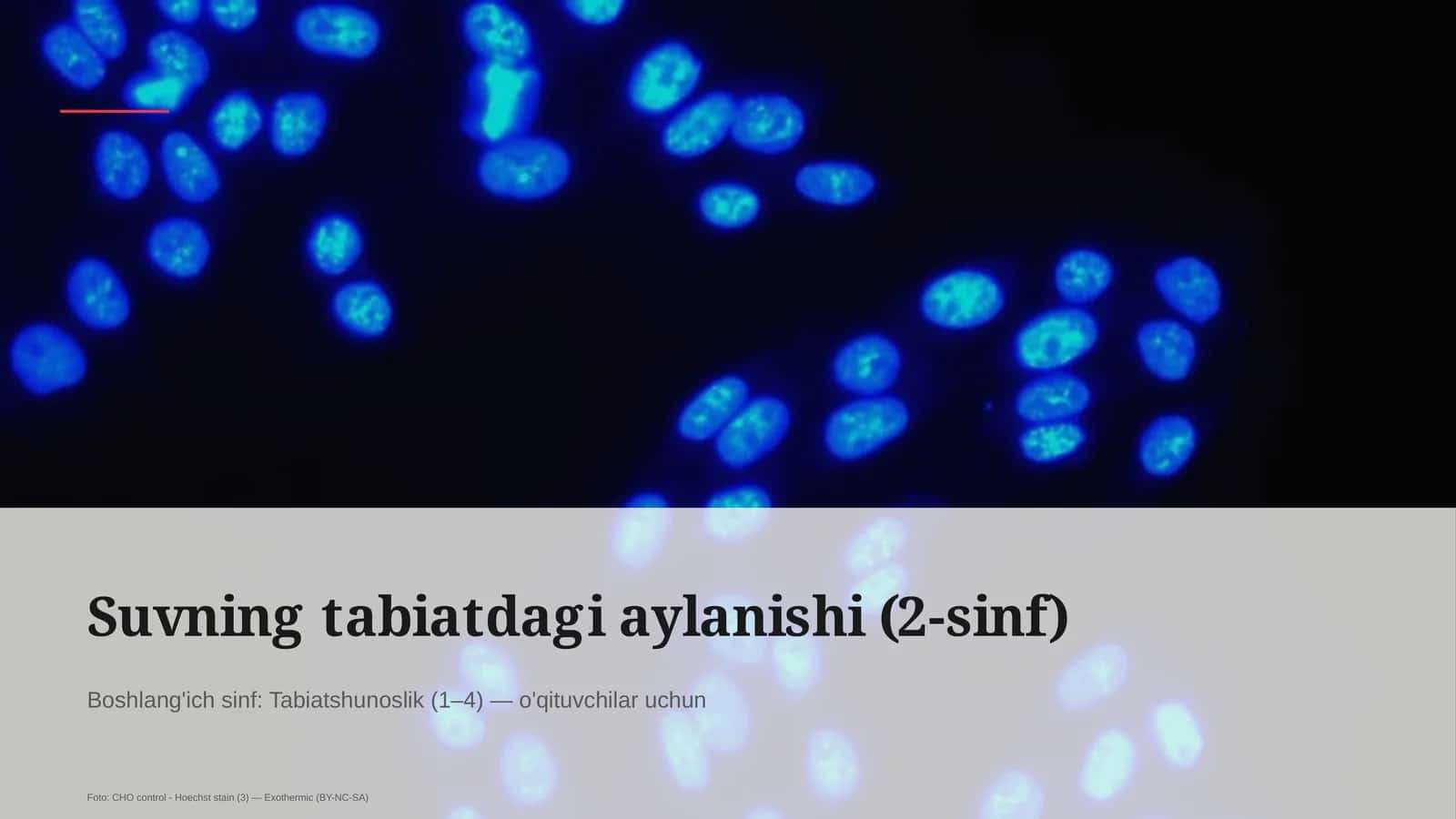 Suvning tabiatdagi aylanishi (2-sinf)