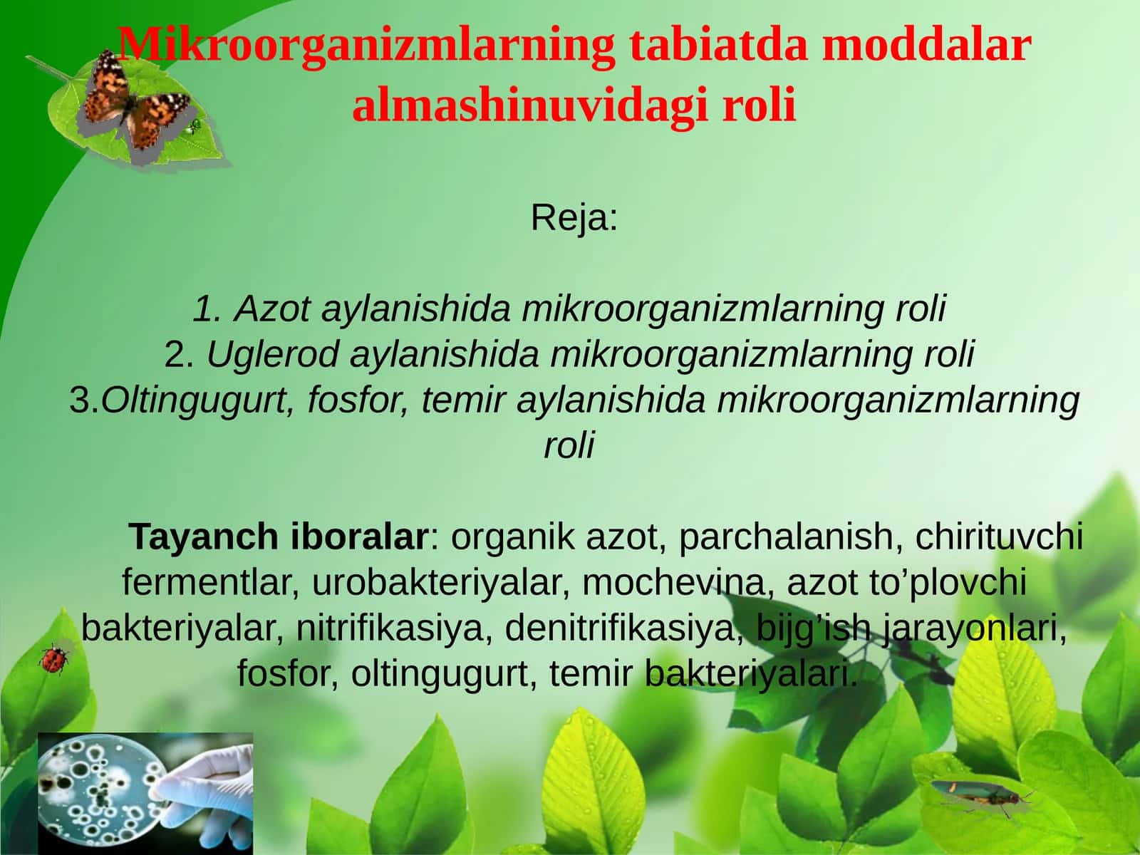 Mikroorganizmlarning tabiatda moddalar almashinuvidagi roli