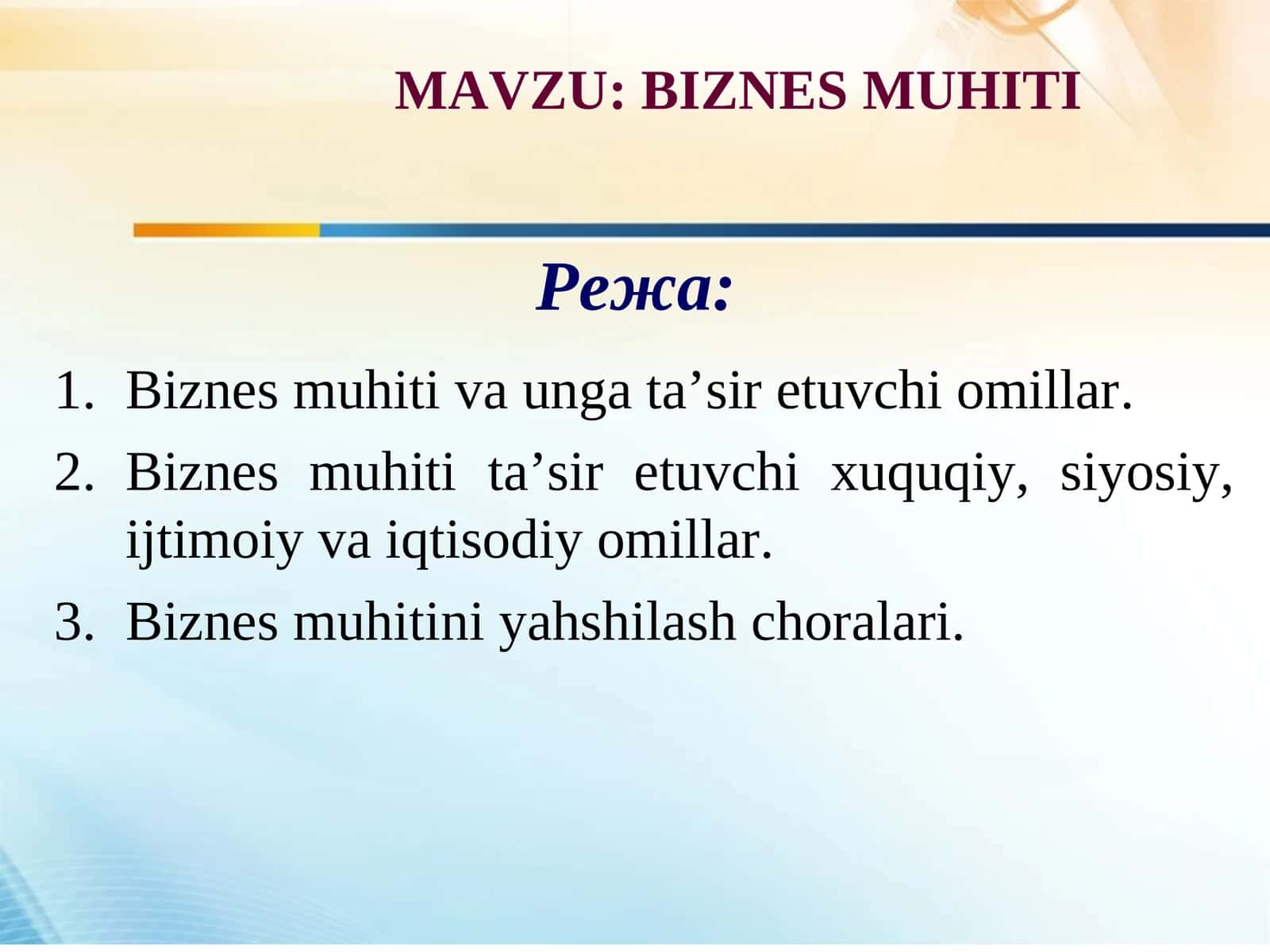BIZNESMUHITI