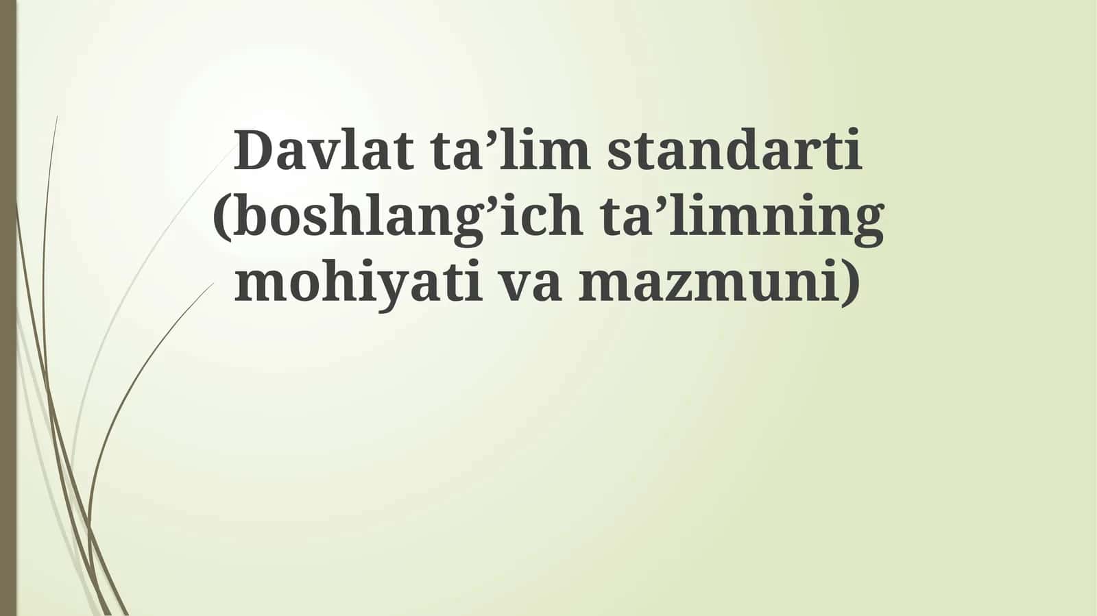 Davlat ta'lim standarti (boshlang'ich ta'limning mohiyati va mazmuni)