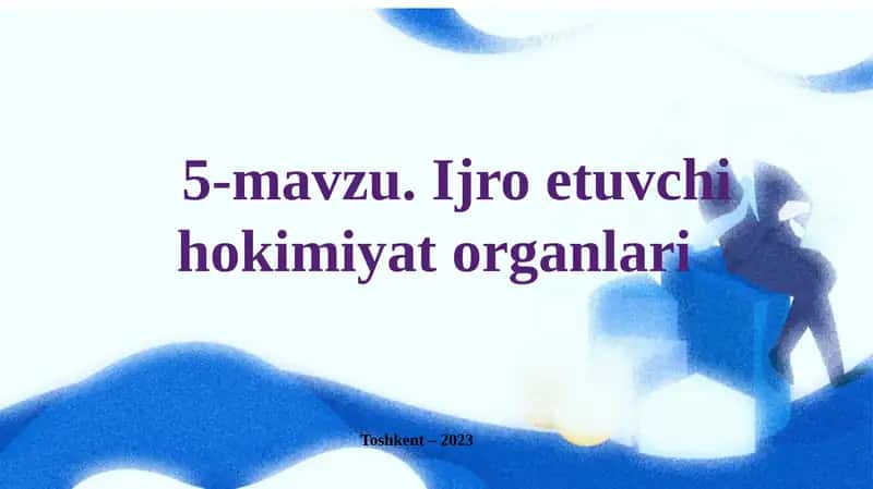 Ijro etuvchi hokimiyat organlari