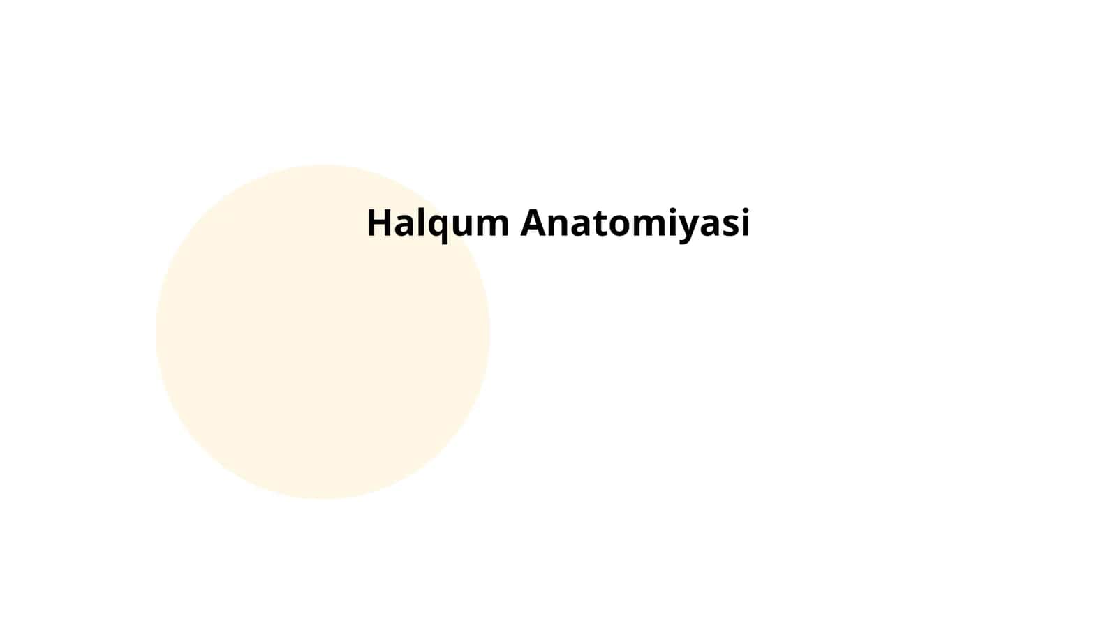 Halqum Anatomiyasi