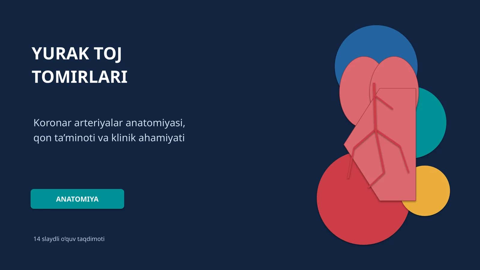 YURAK TOJ TOMIRLARI