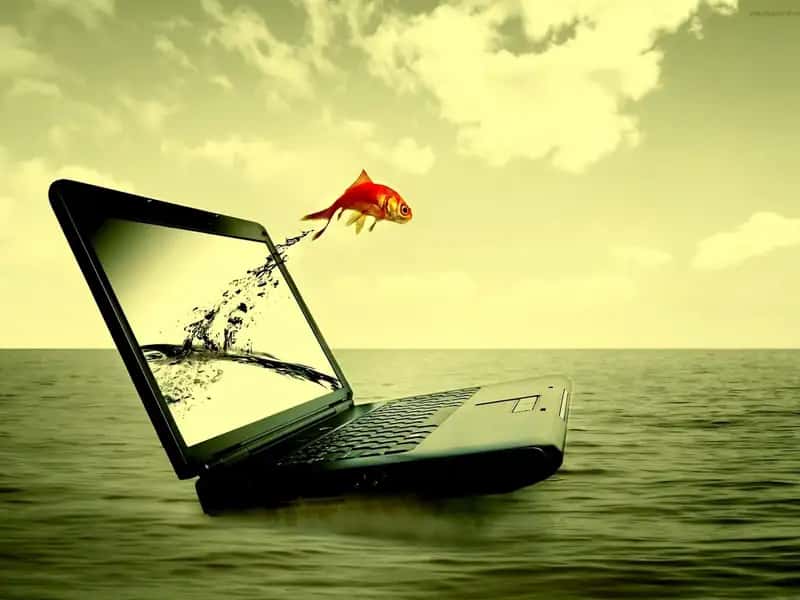 Informatika