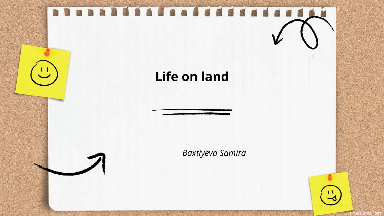 Navlar-Soatlar
