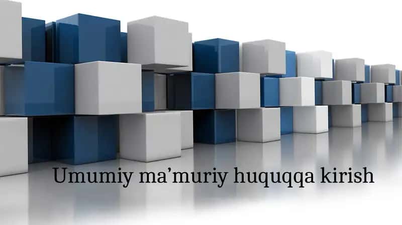 Umumiyma’muriyhuquqqakirish