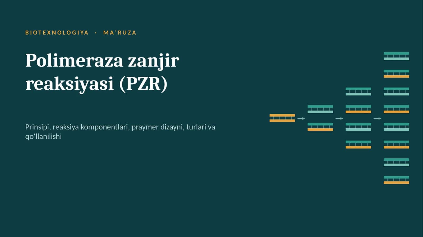Polimeraza zanjir reaksiyasi (PZR)