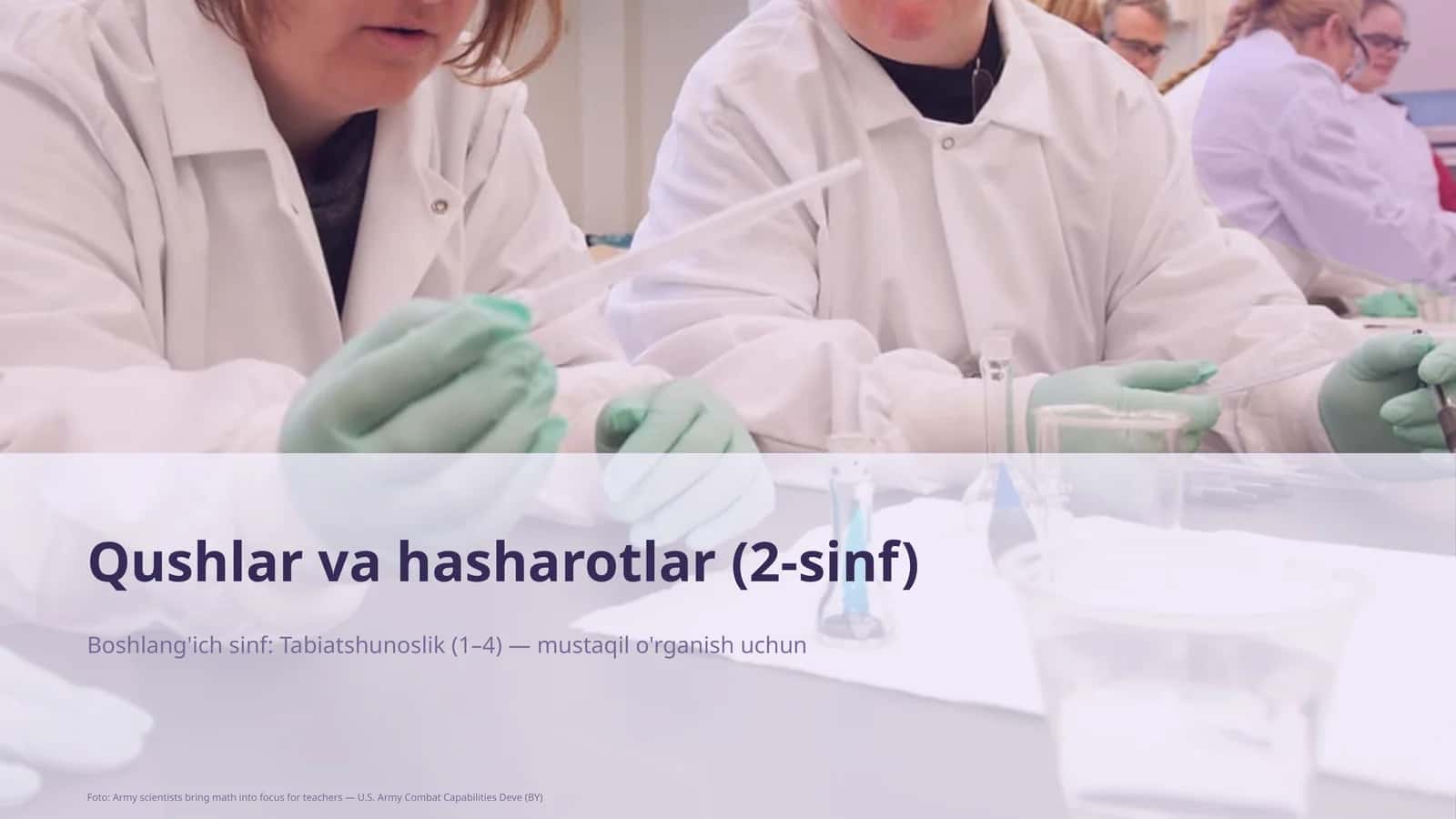 Qushlar va hasharotlar (2-sinf)