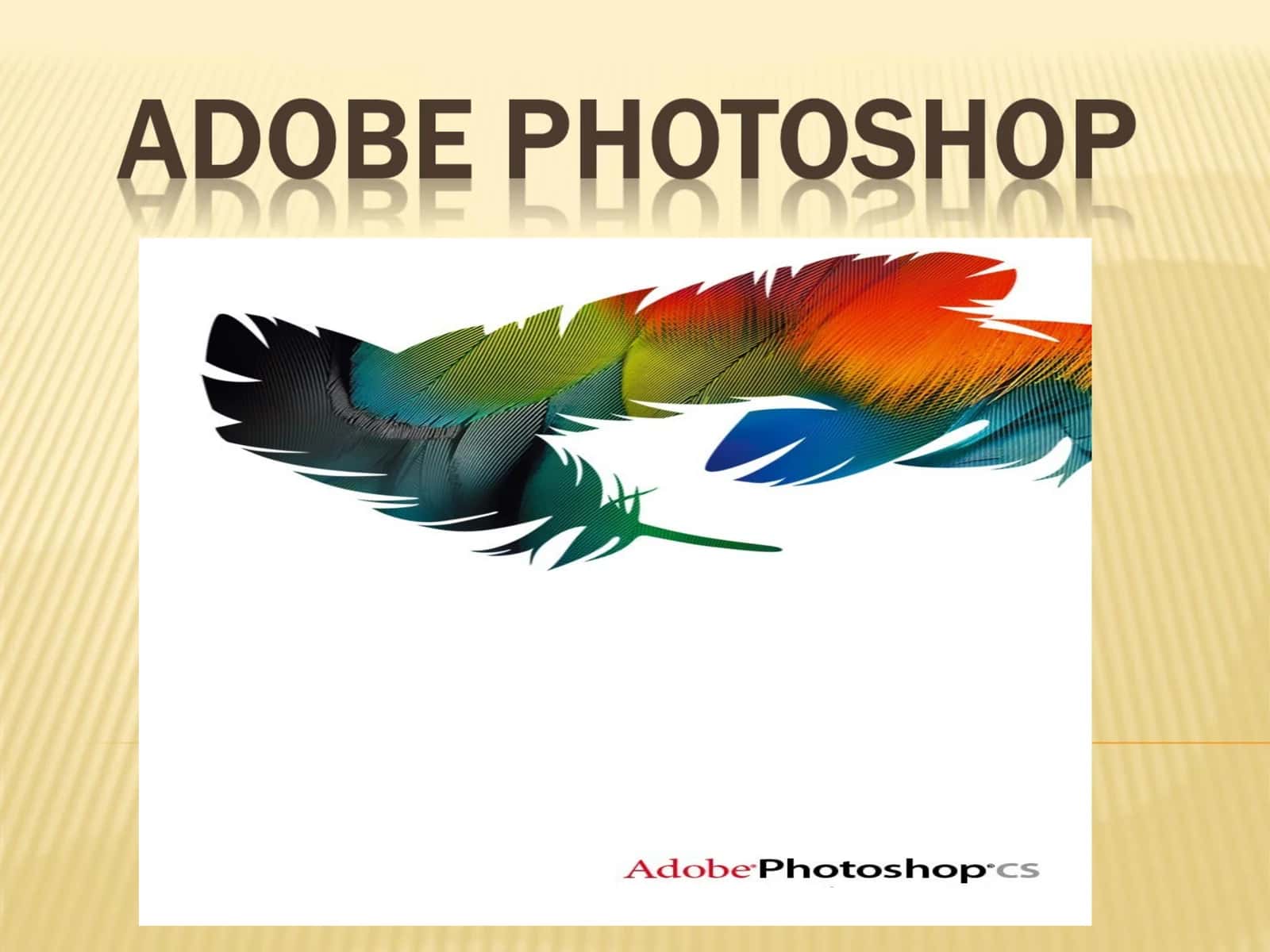 Adobe Photoshop
