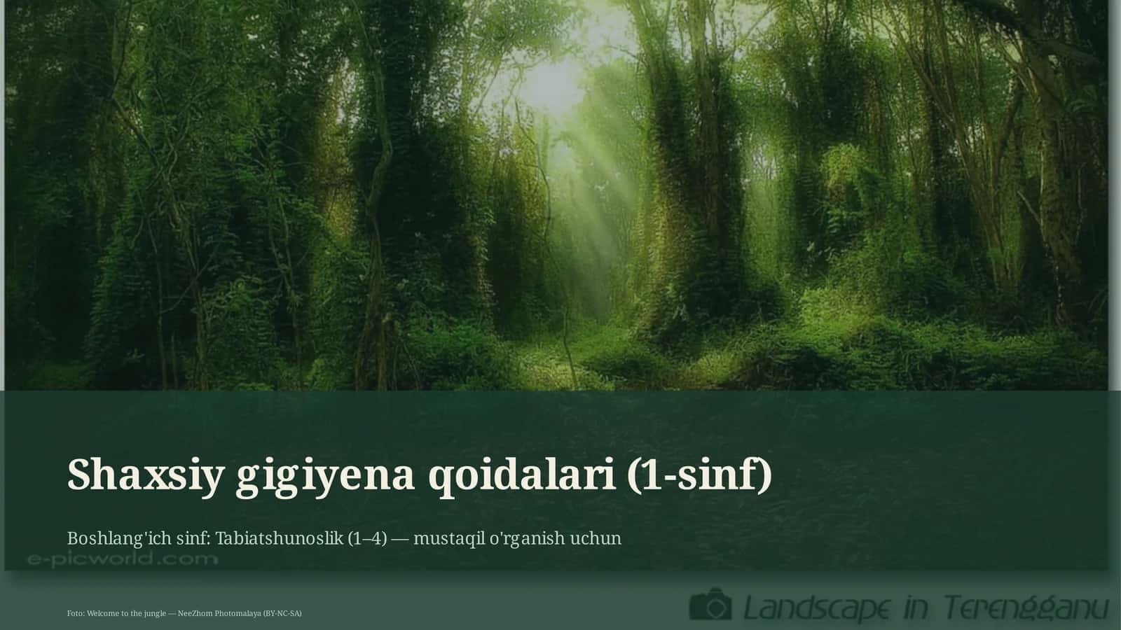 Shaxsiy gigiyena qoidalari (1-sinf)