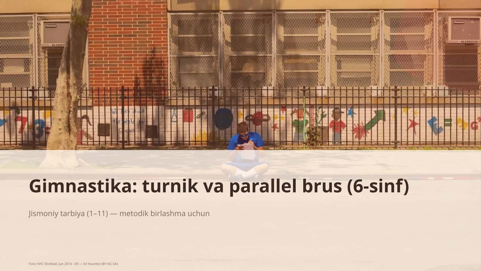 Gimnastika: turnik va parallel brus (6-sinf)