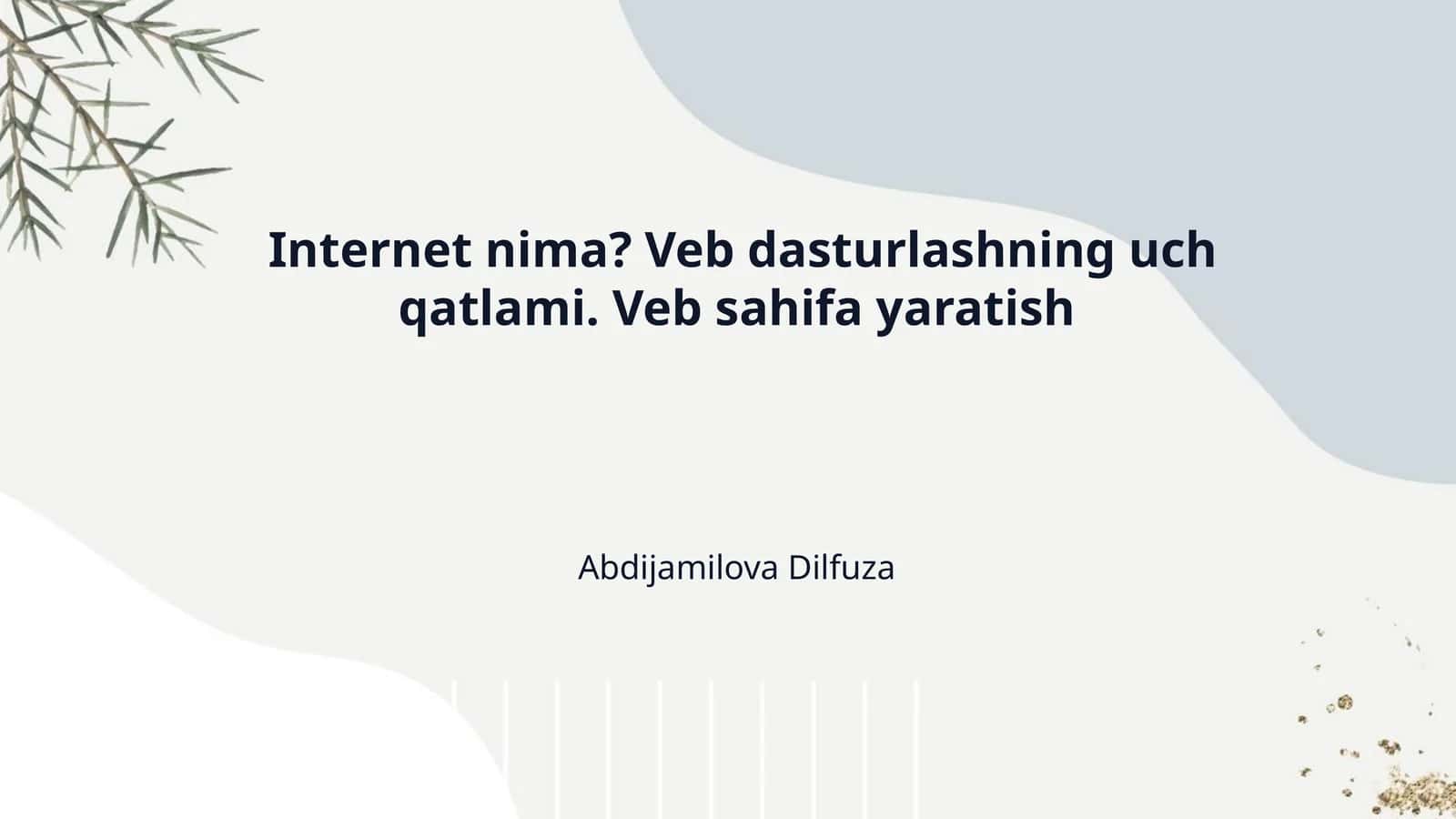 Internet nima? Veb dasturlashning uch qatlami. Veb sahifa yaratish