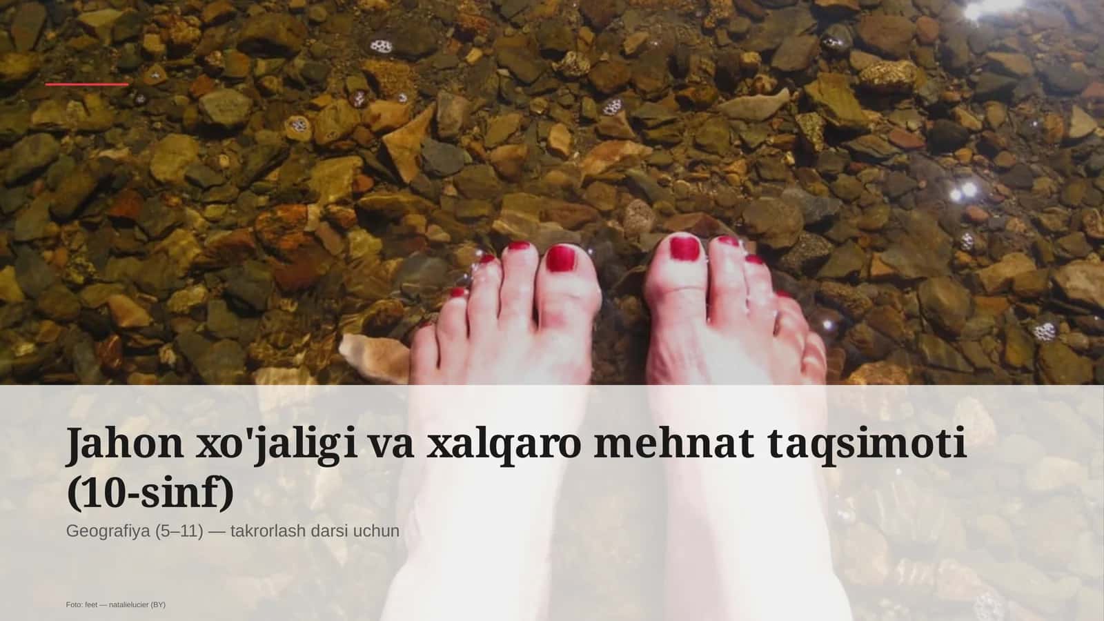 Jahon xo'jaligi va xalqaro mehnat taqsimoti (10-sinf)