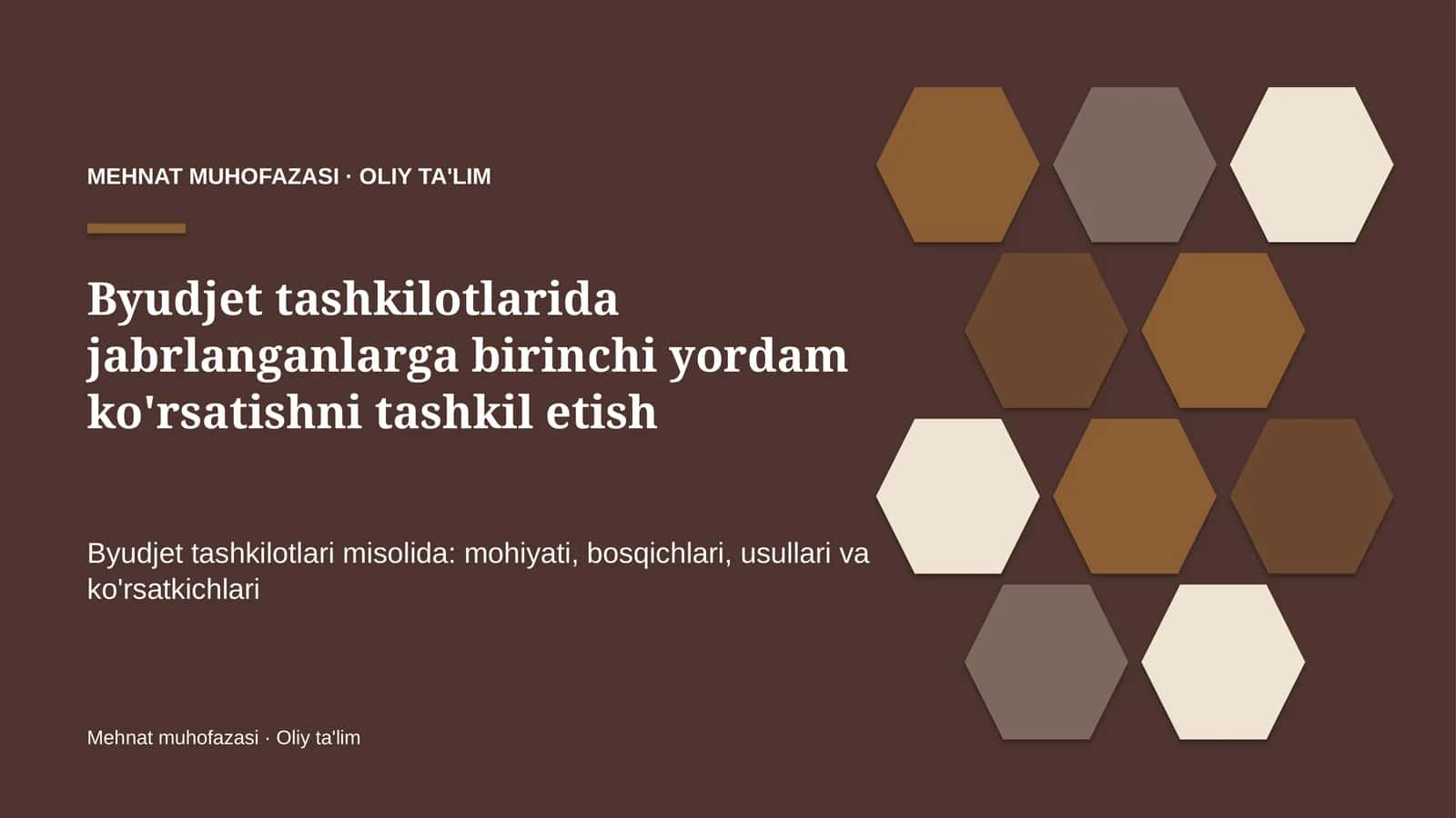 Byudjet tashkilotlarida jabrlanganlarga birinchi yordam ko'rsatishni tashkil etish
