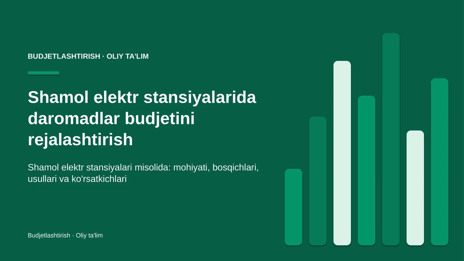 Shamol elektr stansiyalarida daromadlar budjetini rejalashtirish