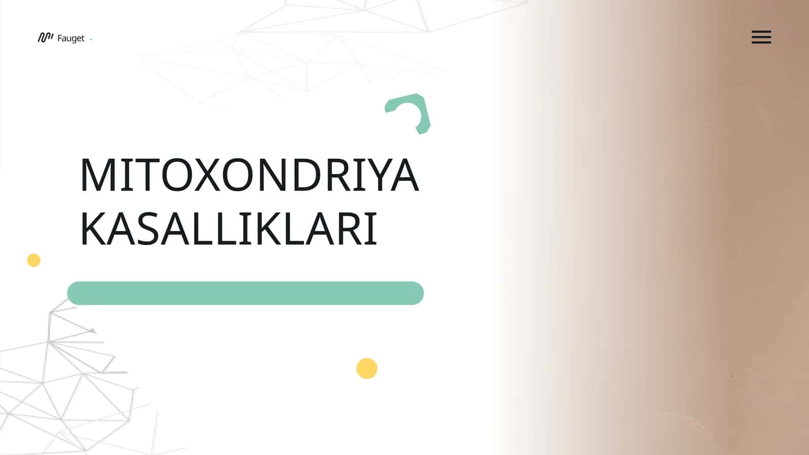 Mitoxondriya kasalliklari