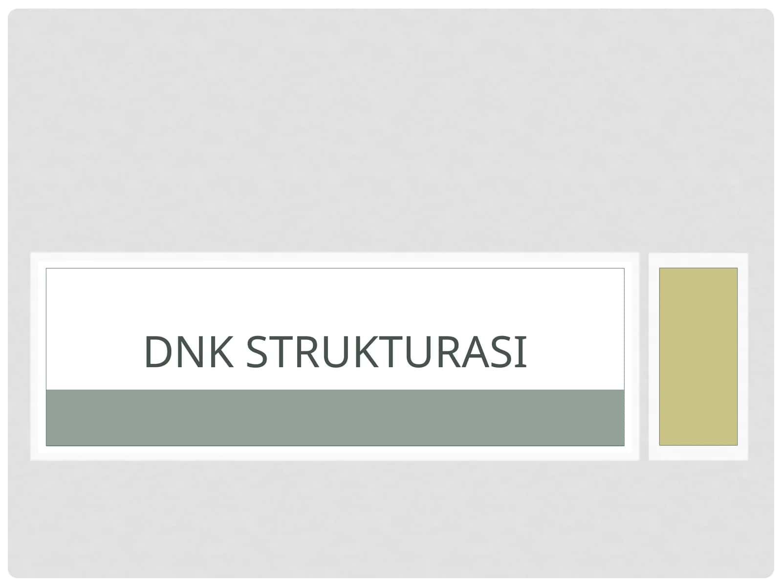 DNK strukturasi