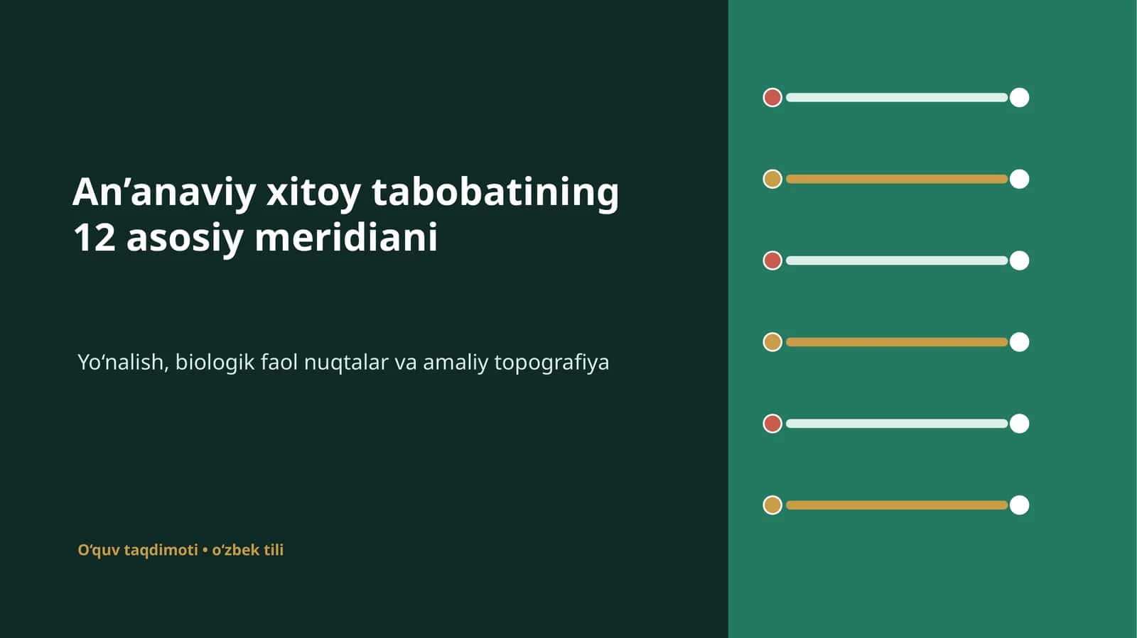 An’anaviy xitoy tabobatining 12 asosiy meridiani