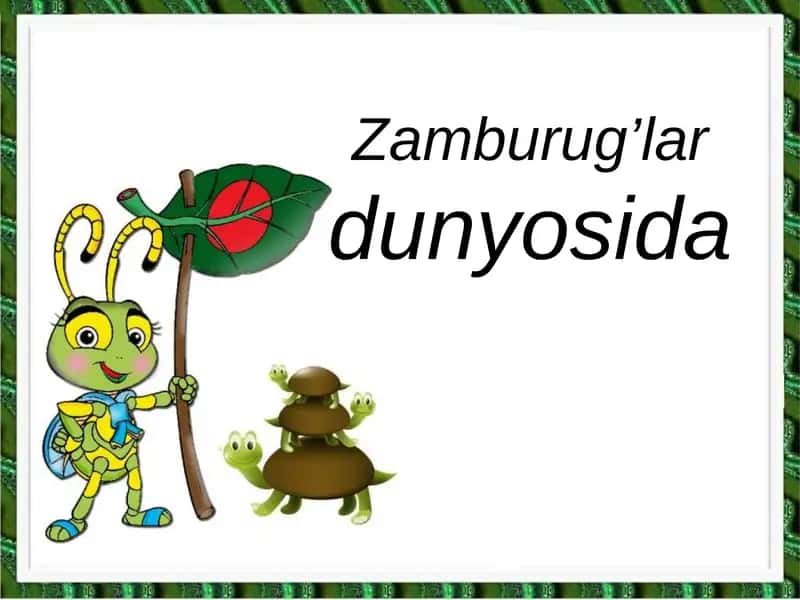 Zamburug’lar dunyosida