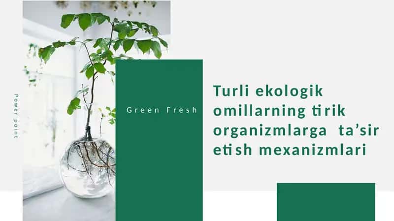 Turli ekologik omillarning tirik organizmlarga ta’sir etish mexanizmlari