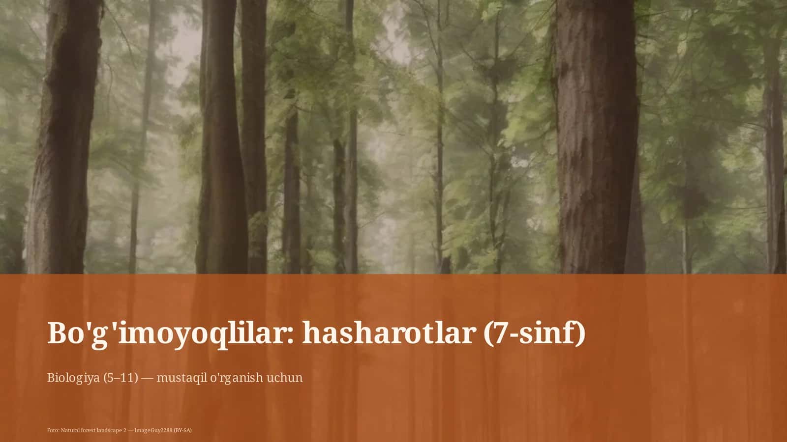 Bo'g'imoyoqlilar: hasharotlar (7-sinf)