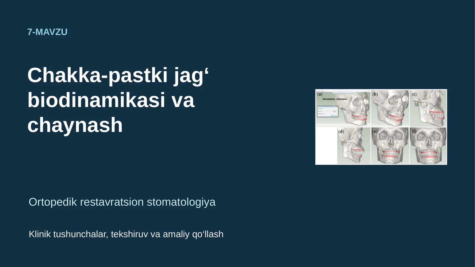 Chakka-pastki jag‘ biodinamikasi va chaynash