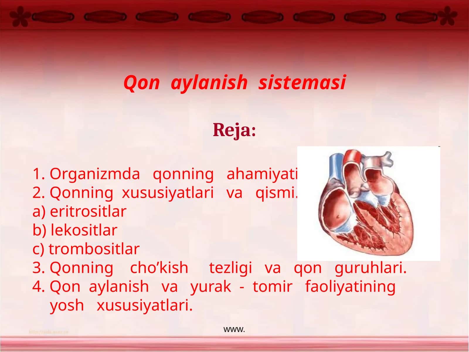 Qon aylanishsistemasi