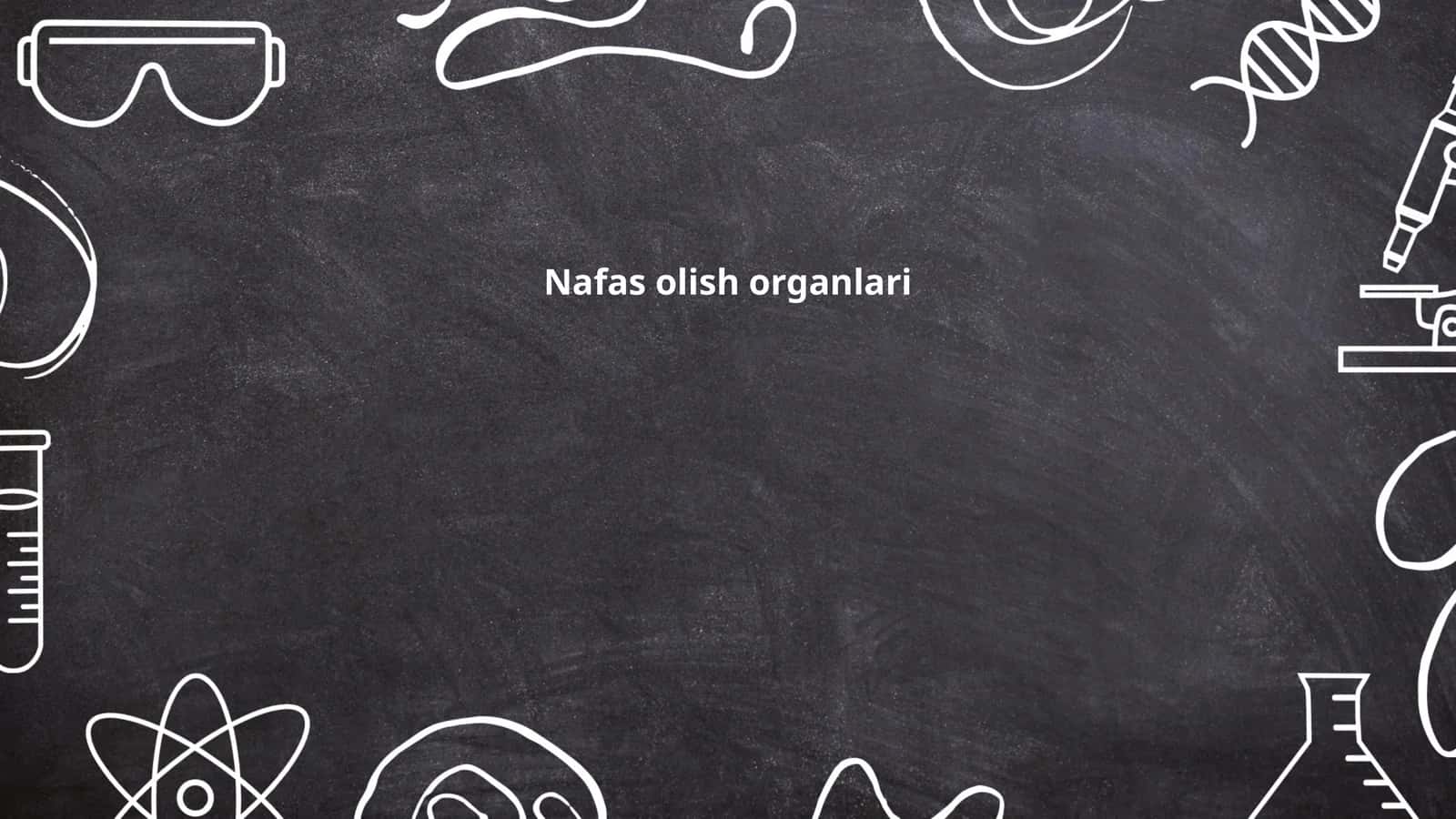 Nafas olish organlari
