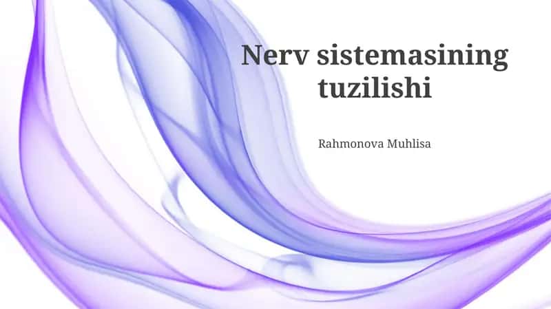 Nerv sistemasining tuzilishi