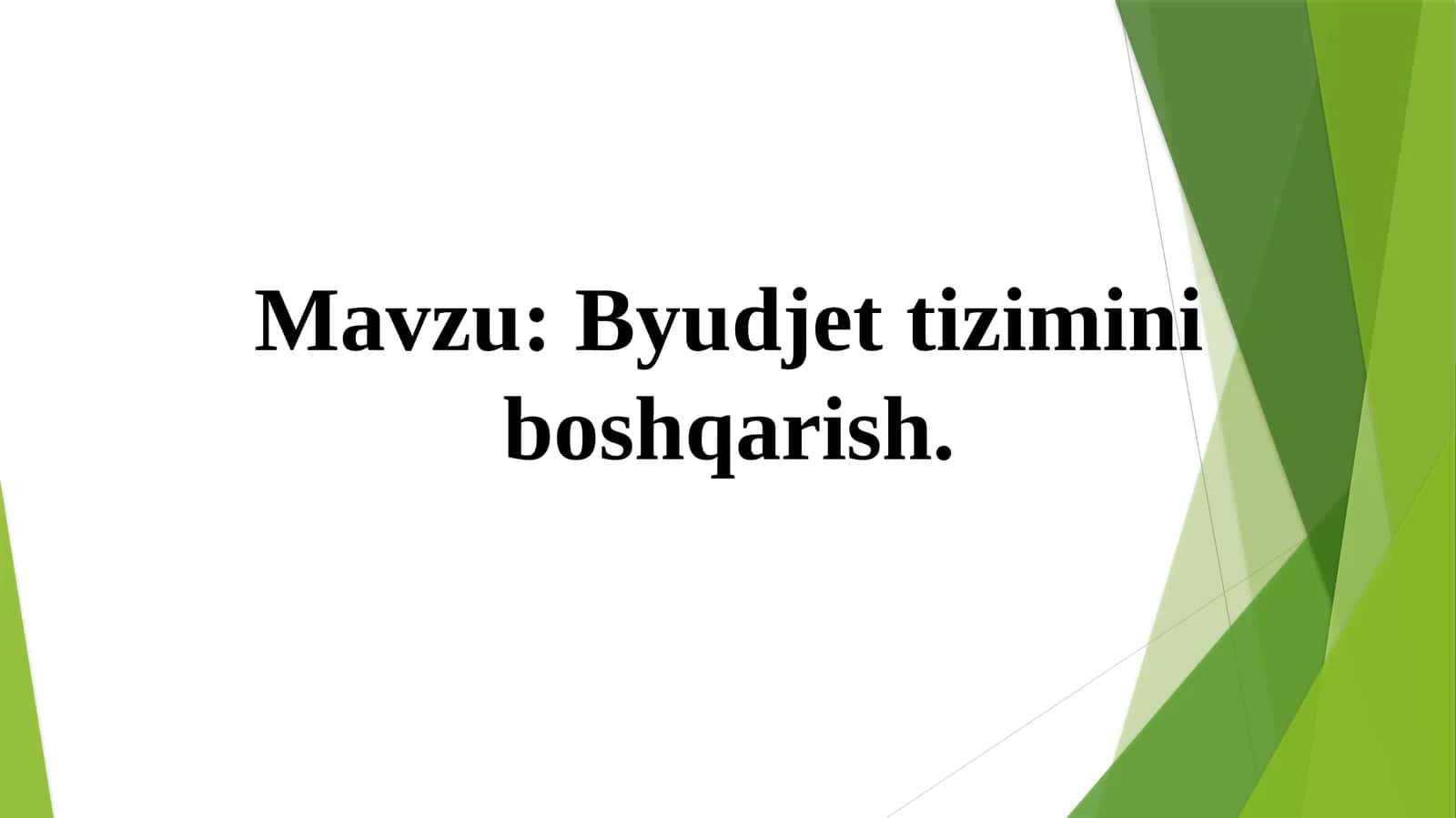 Byudjet tizimini boshqarish