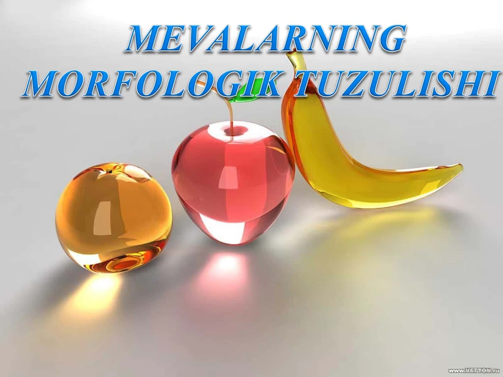 Mevalarning morfologik tuzilishi