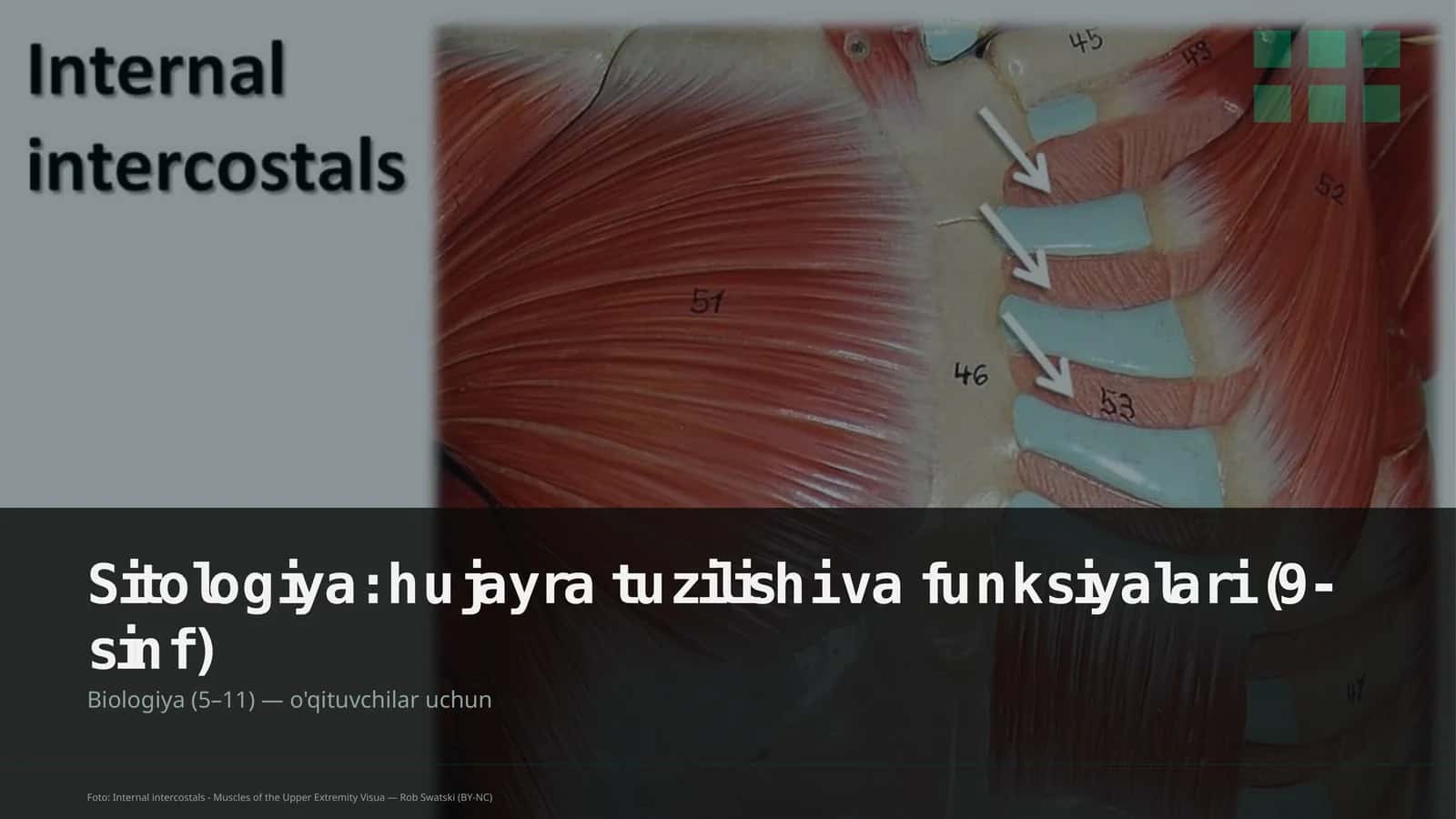 Sitologiya: hujayra tuzilishi va funksiyalari (9-sinf)
