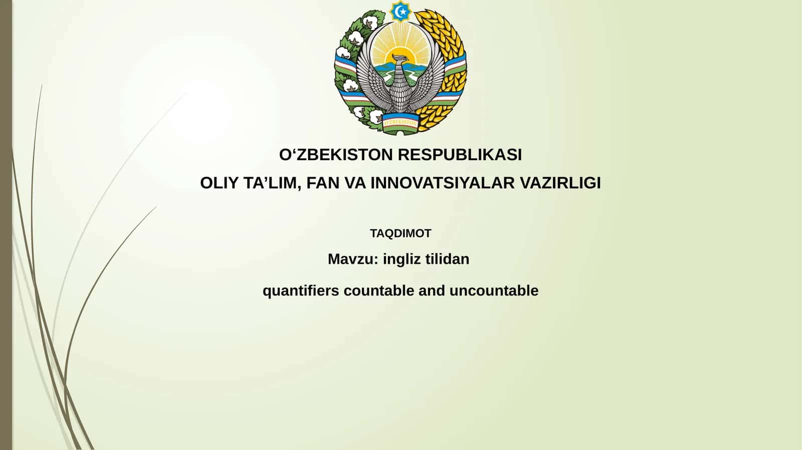 ingliztilidanquantifiers countable and uncountable