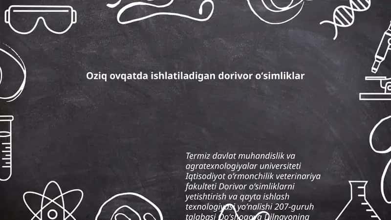 Oziq ovqatda ishlatiladigan dorivor oʻsimliklar