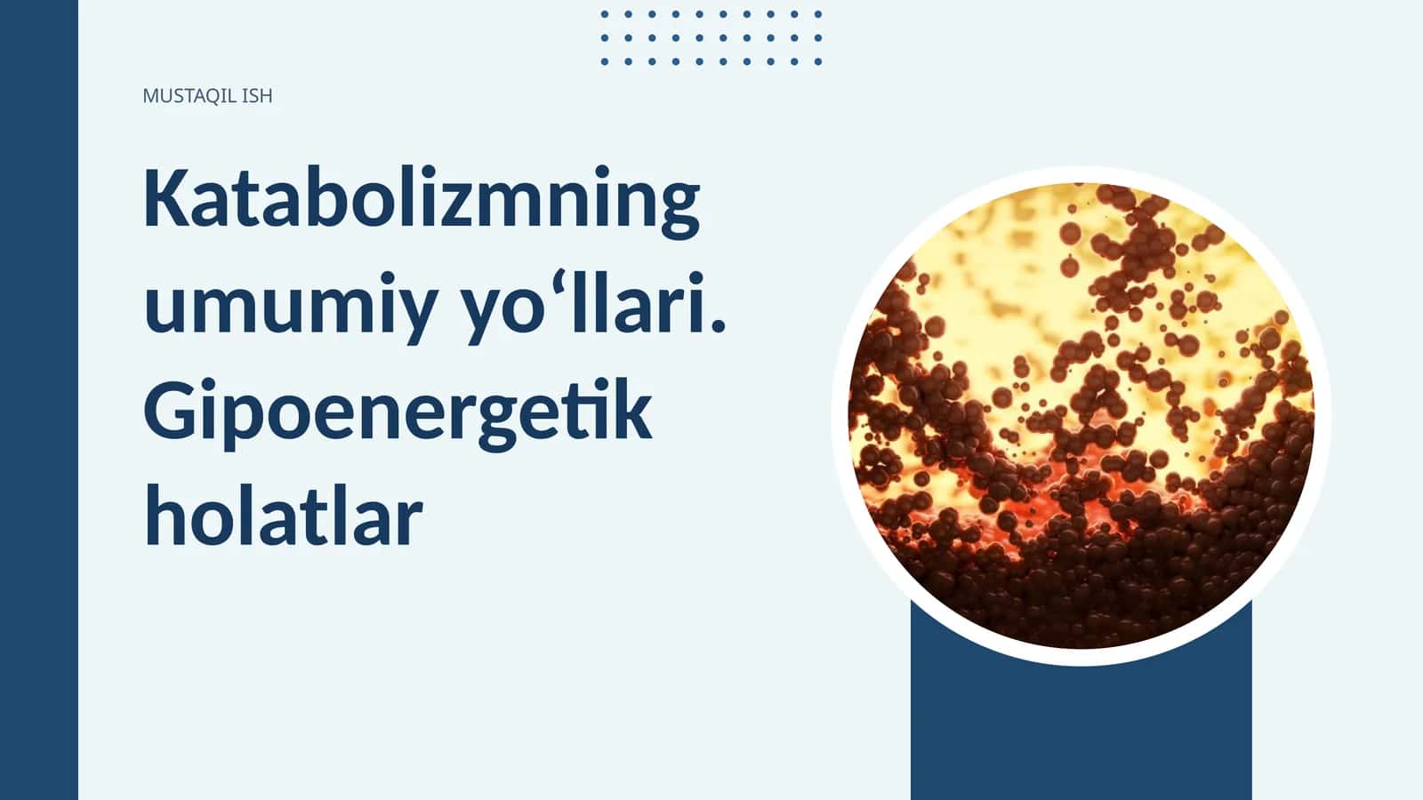Katabolizmning umumiy yoʻllari. Gipoenergetik holatlar