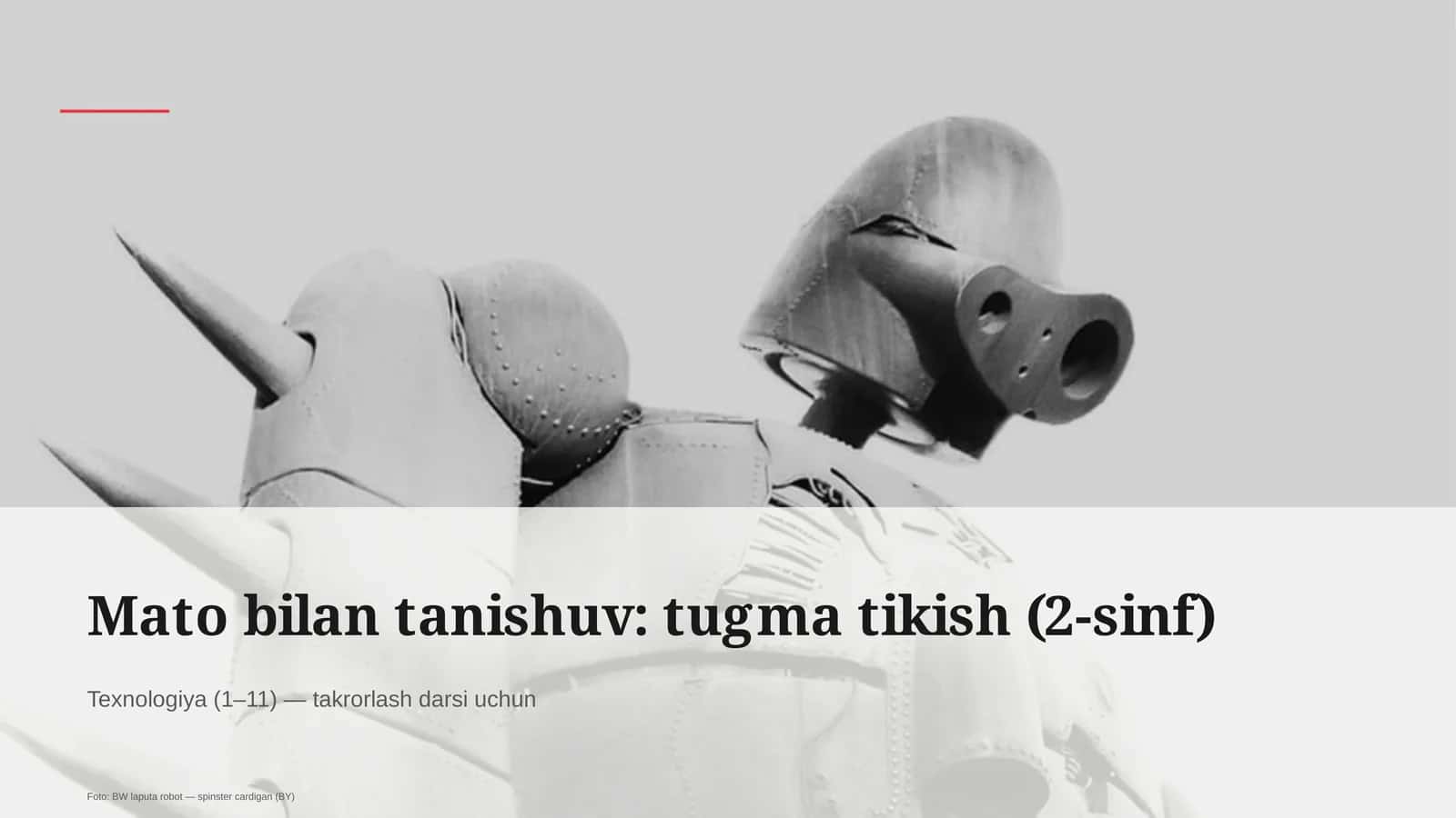 Mato bilan tanishuv: tugma tikish (2-sinf)