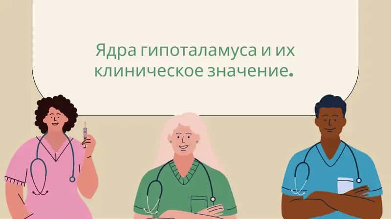 Ядрагипоталамусаиихклиническоезначение