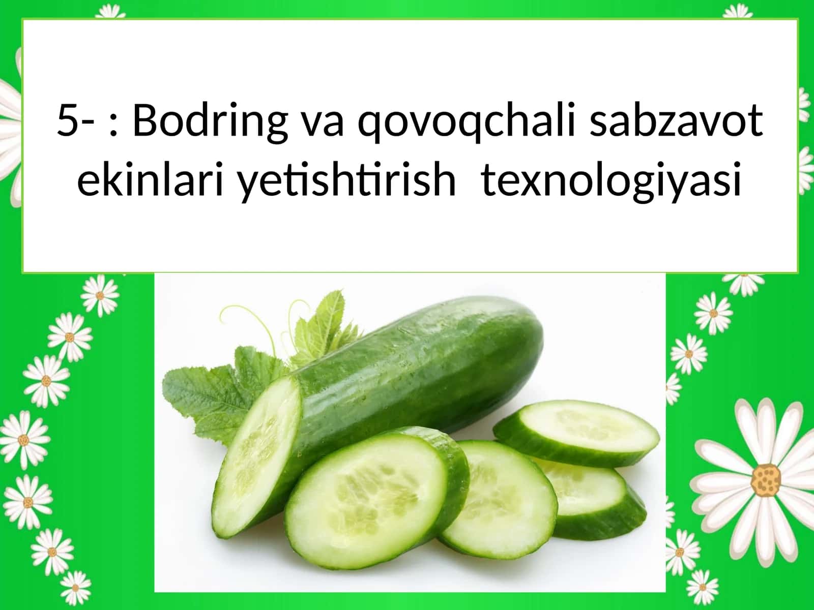 Bodring va qovoqchali sabzavot ekinlari yetishtirish texnologiyasi