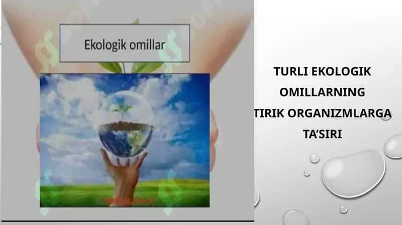 Turli ekologik omillarning Tirik organizmlarga ta’siri