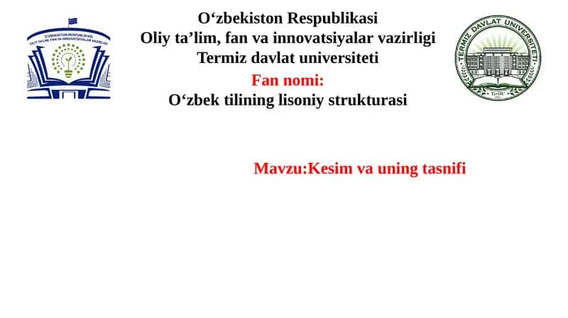 Kesim va uning tasnifi