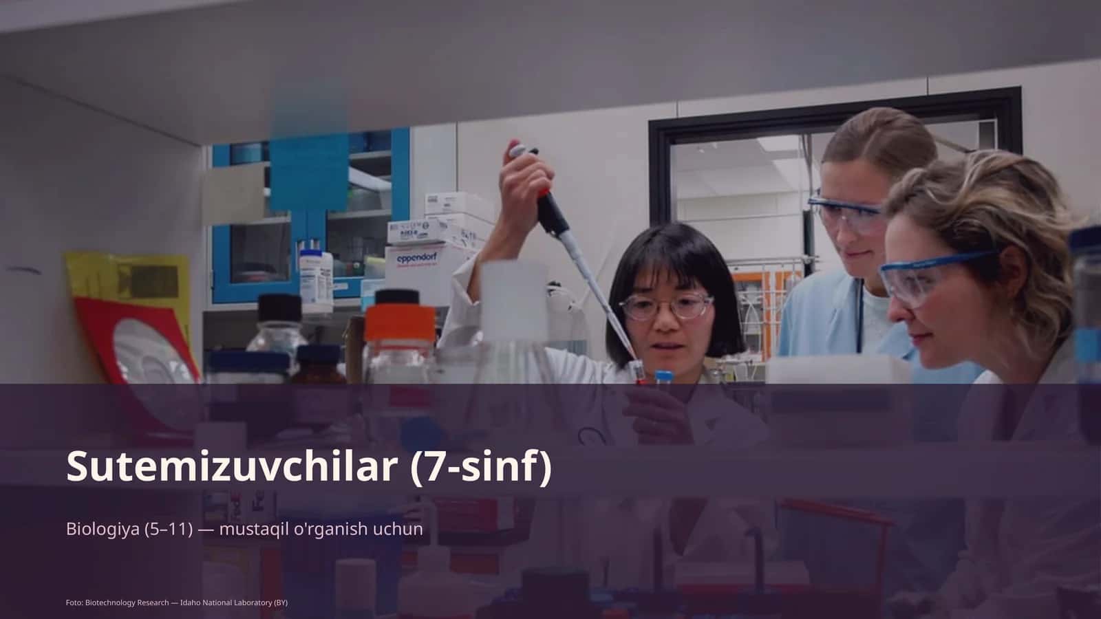Sutemizuvchilar (7-sinf)