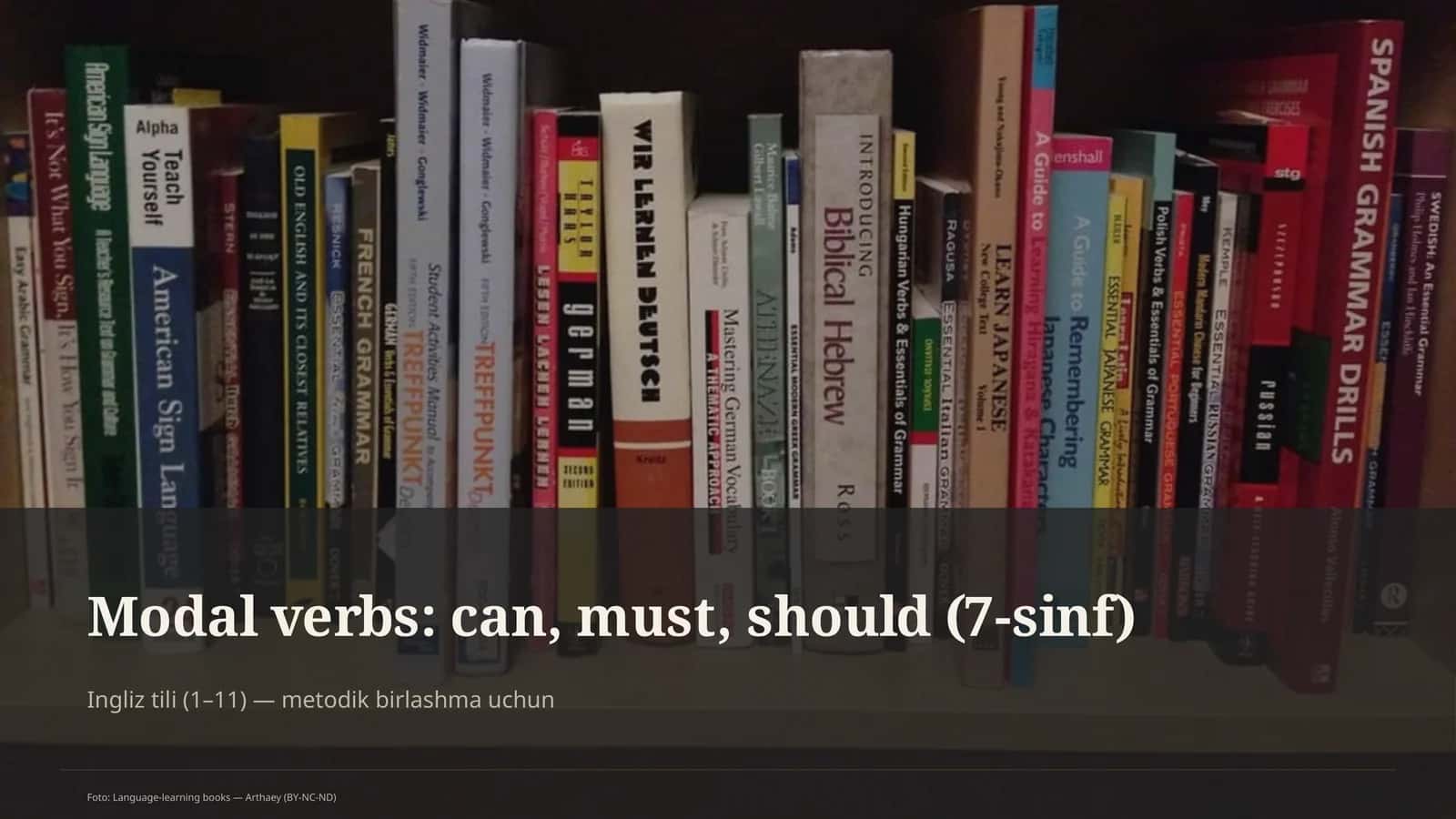 Modal verbs: can, must, should (7-sinf)