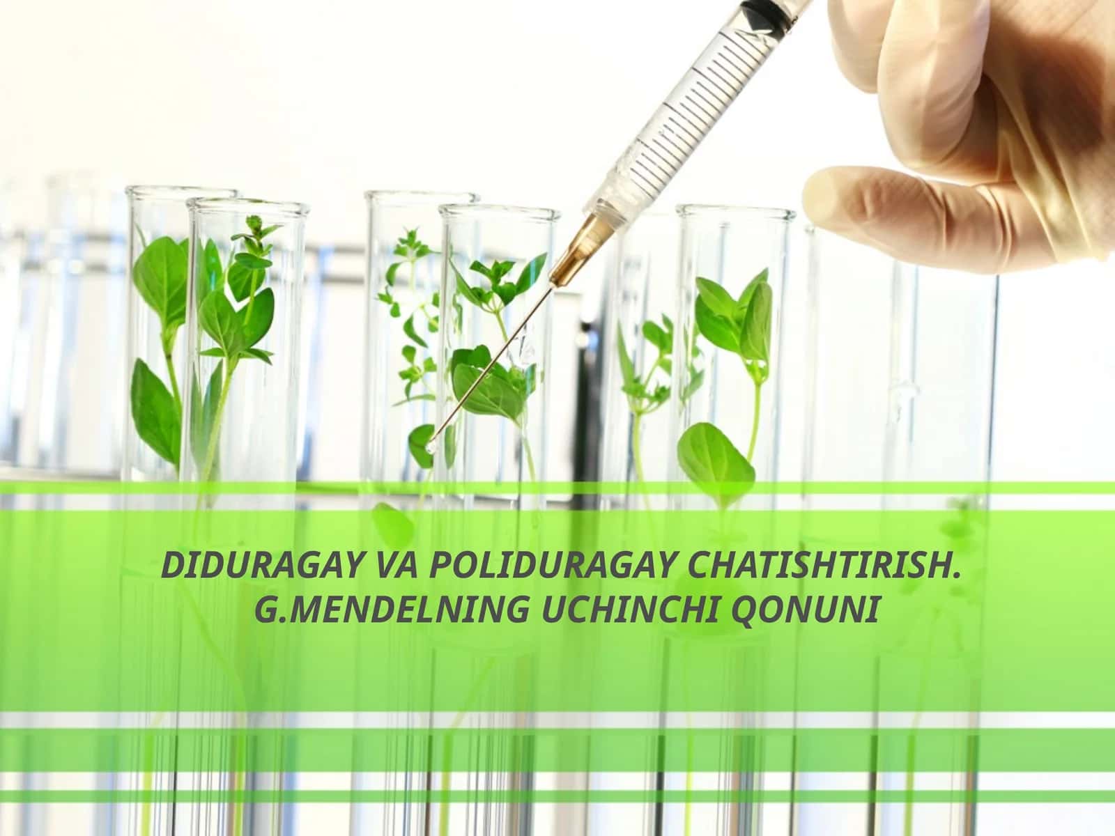 DIDURAGAY VA POLIDURAGAY CHATISHTIRISH.G.MENDELNING UCHINCHI QONUNI